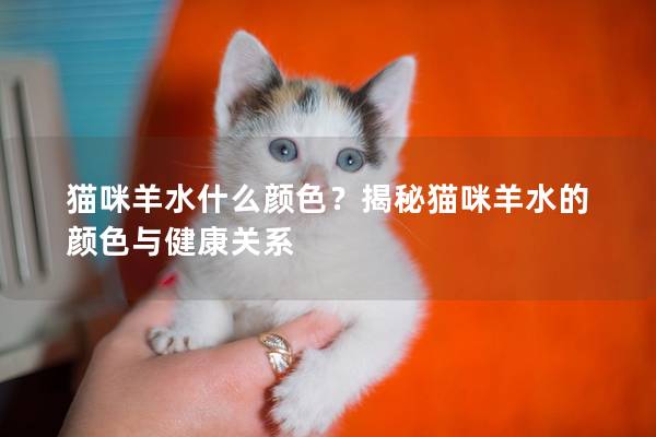 猫咪羊水什么颜色？揭秘猫咪羊水的颜色与健康关系