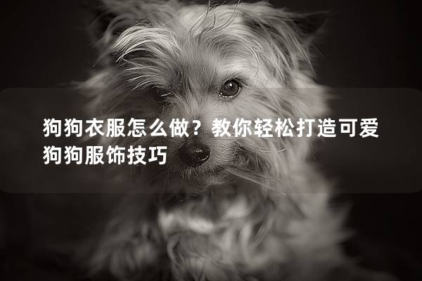 狗狗衣服怎么做？教你轻松打造可爱狗狗服饰技巧