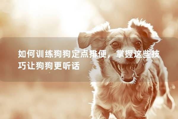 如何训练狗狗定点排便，掌握这些技巧让狗狗更听话