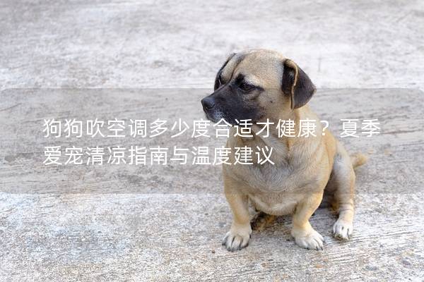狗狗吹空调多少度合适才健康？夏季爱宠清凉指南与温度建议