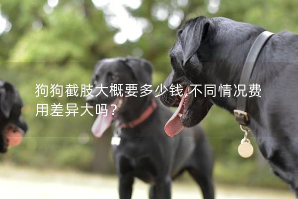 狗狗截肢大概要多少钱,不同情况费用差异大吗？