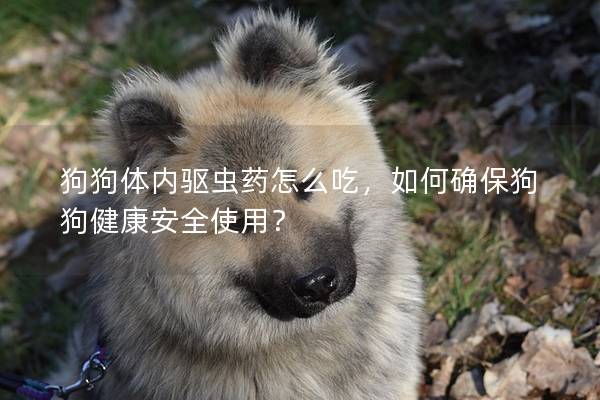狗狗体内驱虫药怎么吃，如何确保狗狗健康安全使用？