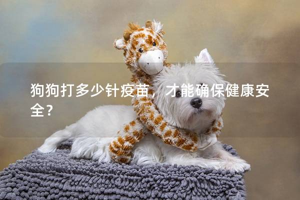 狗狗打多少针疫苗，才能确保健康安全？