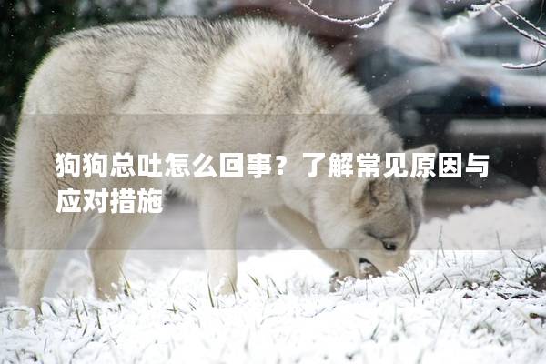 狗狗总吐怎么回事？了解常见原因与应对措施