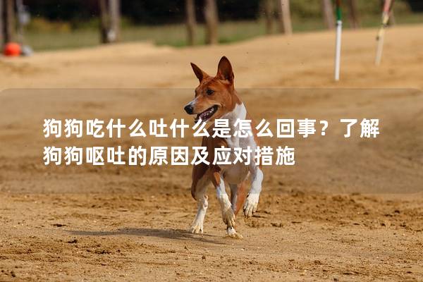 狗狗吃什么吐什么是怎么回事？了解狗狗呕吐的原因及应对措施