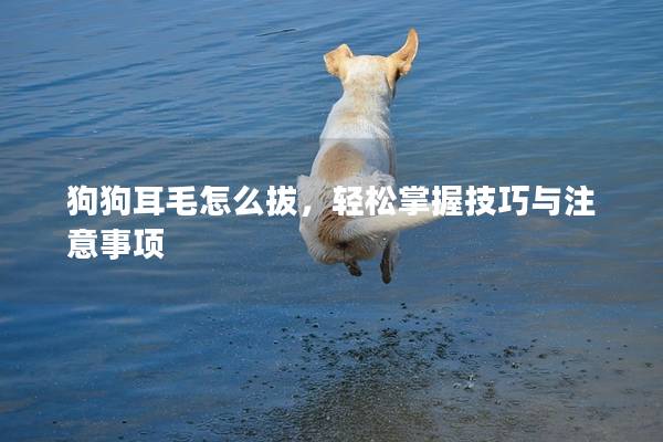 狗狗耳毛怎么拔，轻松掌握技巧与注意事项