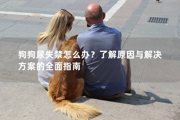 狗狗尿失禁怎么办？了解原因与解决方案的全面指南