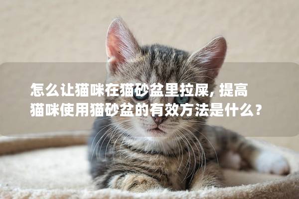 怎么让猫咪在猫砂盆里拉屎, 提高猫咪使用猫砂盆的有效方法是什么？
