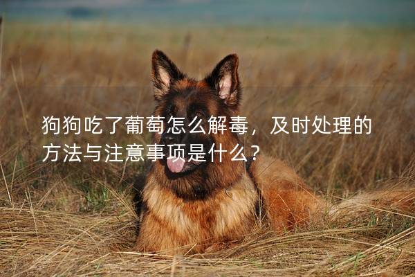 狗狗吃了葡萄怎么解毒，及时处理的方法与注意事项是什么？