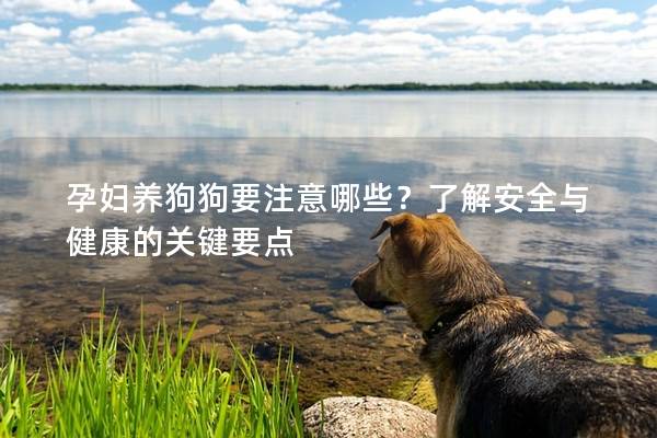 孕妇养狗狗要注意哪些？了解安全与健康的关键要点