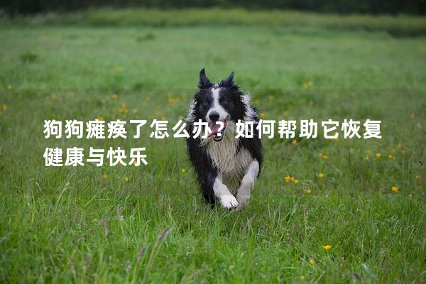 狗狗瘫痪了怎么办？如何帮助它恢复健康与快乐