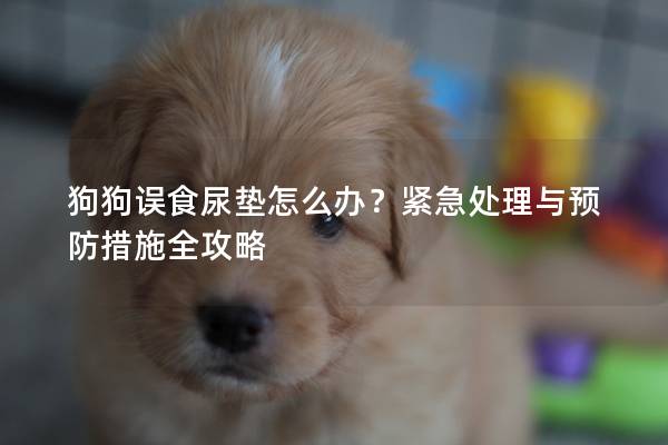 狗狗误食尿垫怎么办？紧急处理与预防措施全攻略