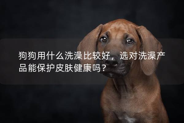 狗狗用什么洗澡比较好，选对洗澡产品能保护皮肤健康吗？