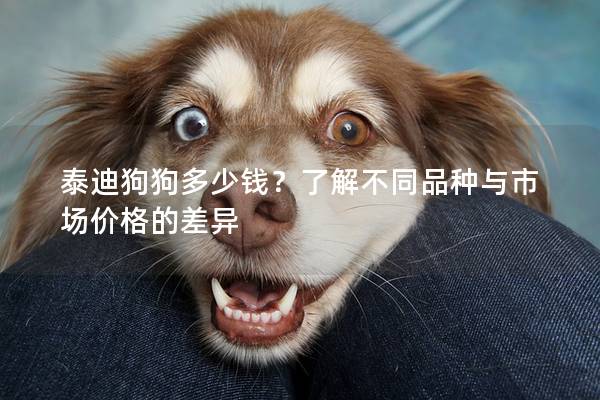 泰迪狗狗多少钱？了解不同品种与市场价格的差异