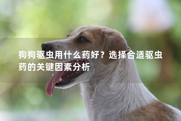 狗狗驱虫用什么药好？选择合适驱虫药的关键因素分析