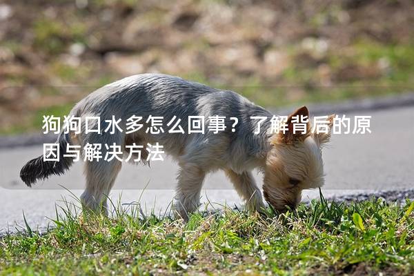 狗狗口水多怎么回事？了解背后的原因与解决方法