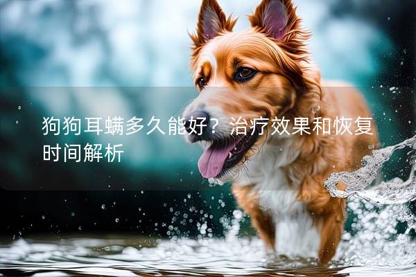 狗狗耳螨多久能好？治疗效果和恢复时间解析