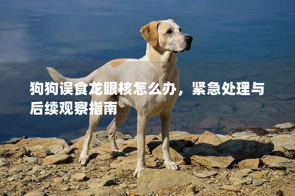 狗狗误食龙眼核怎么办，紧急处理与后续观察指南