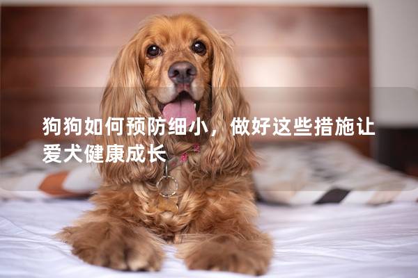 狗狗如何预防细小，做好这些措施让爱犬健康成长