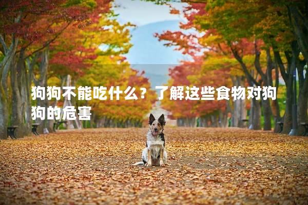 狗狗不能吃什么？了解这些食物对狗狗的危害