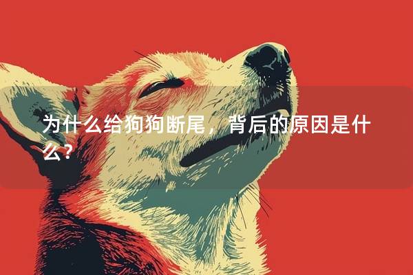 为什么给狗狗断尾，背后的原因是什么？