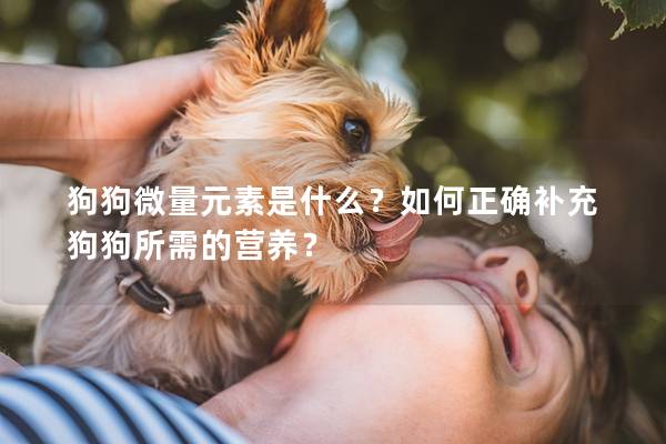 狗狗微量元素是什么？如何正确补充狗狗所需的营养？