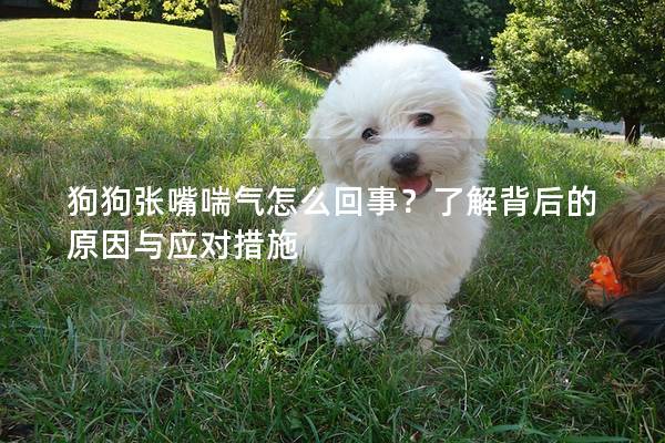 狗狗张嘴喘气怎么回事？了解背后的原因与应对措施