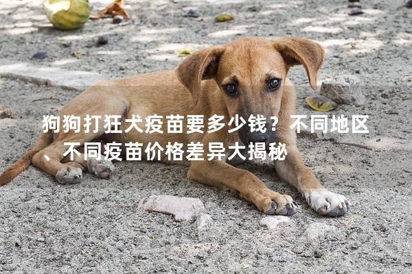 狗狗打狂犬疫苗要多少钱？不同地区、不同疫苗价格差异大揭秘