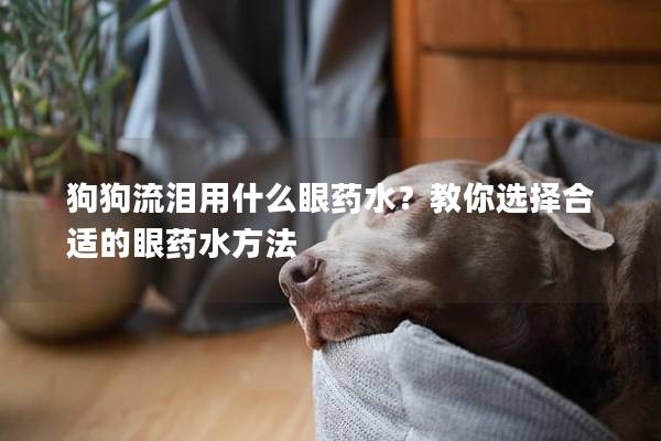 狗狗流泪用什么眼药水？教你选择合适的眼药水方法