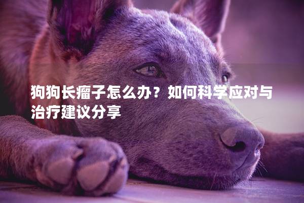 狗狗长瘤子怎么办？如何科学应对与治疗建议分享