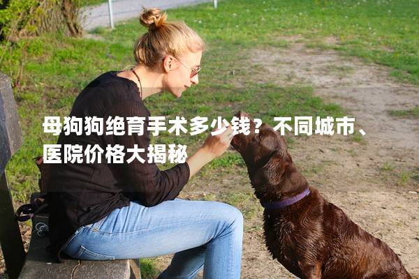 母狗狗绝育手术多少钱？不同城市、医院价格大揭秘