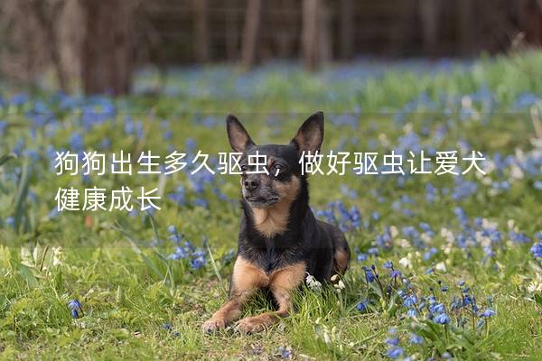 狗狗出生多久驱虫，做好驱虫让爱犬健康成长