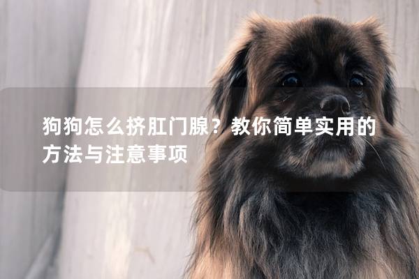 狗狗怎么挤肛门腺？教你简单实用的方法与注意事项