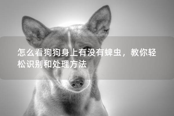 怎么看狗狗身上有没有蜱虫，教你轻松识别和处理方法