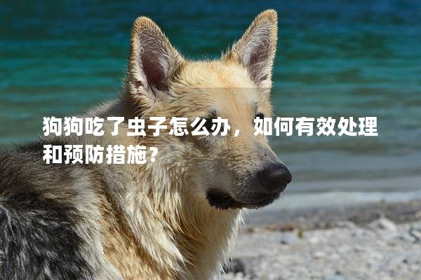 狗狗吃了虫子怎么办，如何有效处理和预防措施？