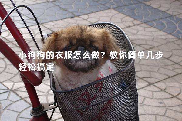 小狗狗的衣服怎么做？教你简单几步轻松搞定