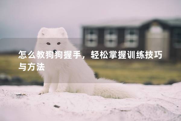 怎么教狗狗握手，轻松掌握训练技巧与方法