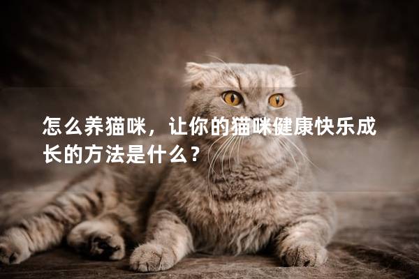 怎么养猫咪，让你的猫咪健康快乐成长的方法是什么？