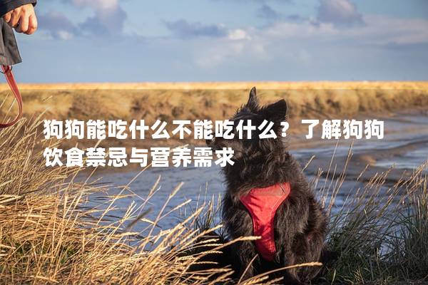 狗狗能吃什么不能吃什么？了解狗狗饮食禁忌与营养需求