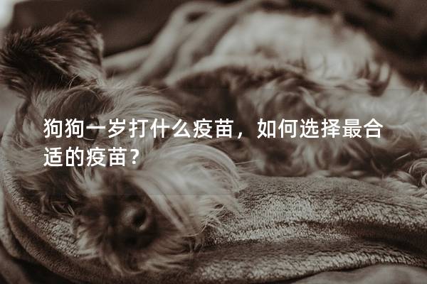 狗狗一岁打什么疫苗，如何选择最合适的疫苗？