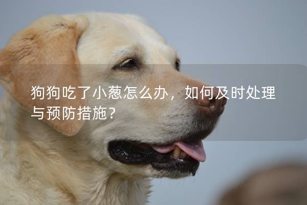 狗狗吃了小葱怎么办，如何及时处理与预防措施？