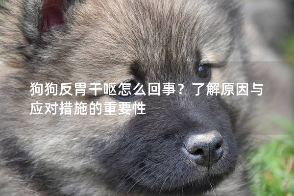 狗狗反胃干呕怎么回事？了解原因与应对措施的重要性