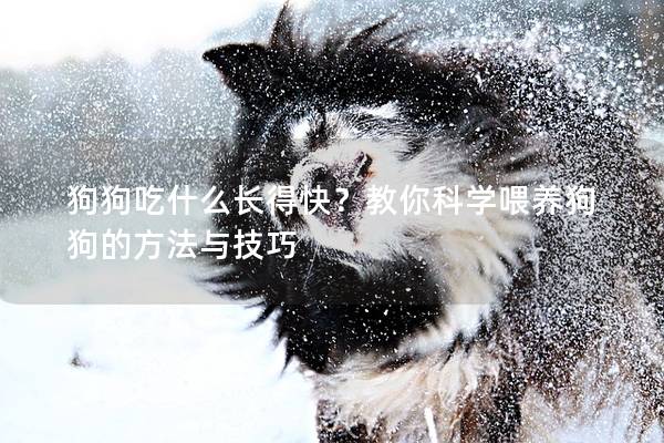 狗狗吃什么长得快？教你科学喂养狗狗的方法与技巧
