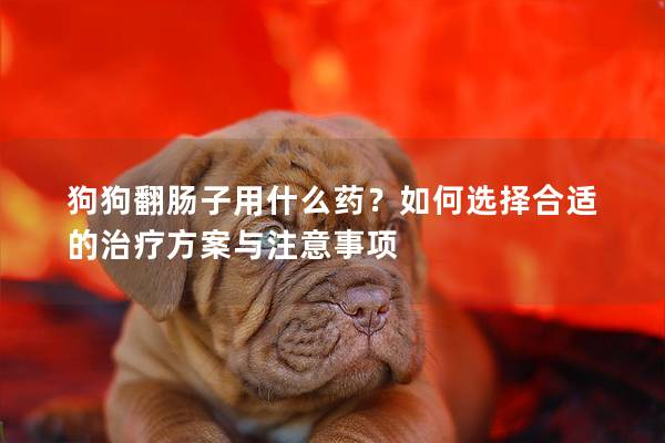 狗狗翻肠子用什么药？如何选择合适的治疗方案与注意事项