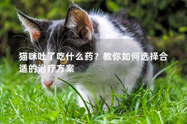 猫咪吐了吃什么药？教你如何选择合适的治疗方案