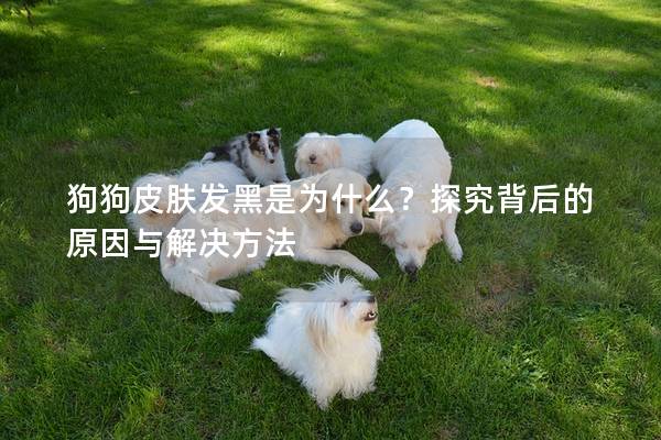 狗狗皮肤发黑是为什么？探究背后的原因与解决方法