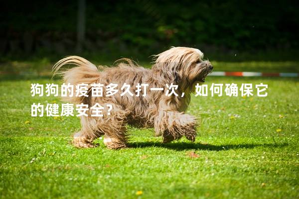狗狗的疫苗多久打一次，如何确保它的健康安全？