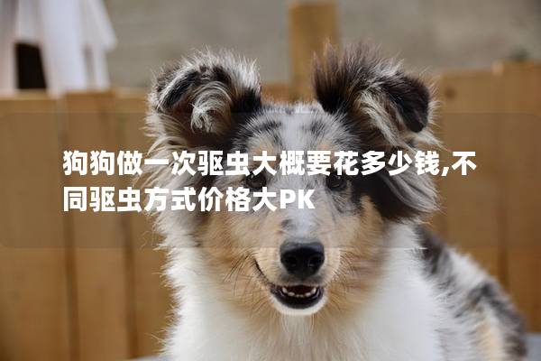 狗狗做一次驱虫大概要花多少钱,不同驱虫方式价格大PK
