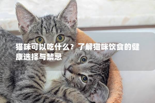 猫咪可以吃什么？了解猫咪饮食的健康选择与禁忌