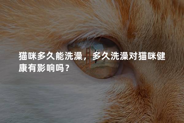 猫咪多久能洗澡，多久洗澡对猫咪健康有影响吗？